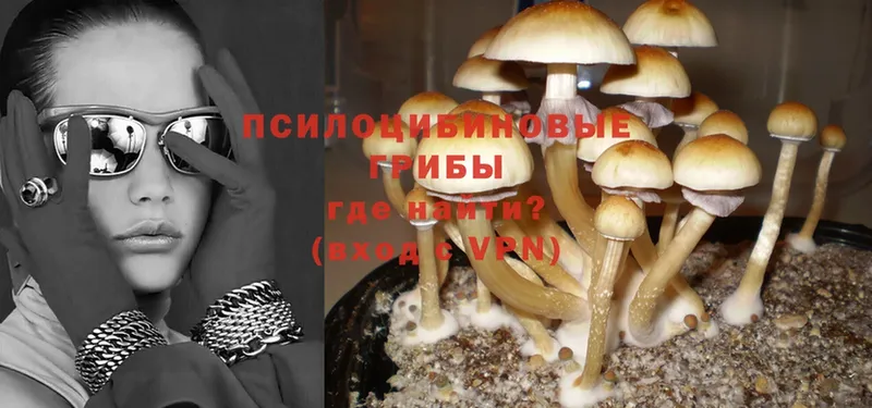 Псилоцибиновые грибы Magic Shrooms  Берёзовский 